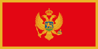 Montenegro flag